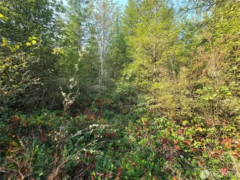 13849 Starflower Lane SE Yelm WA 98597