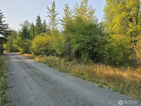 13849 Starflower Lane SE Yelm WA 98597
