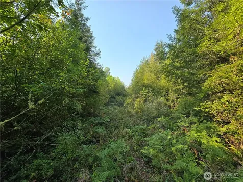 13849 Starflower Lane SE Yelm WA 98597