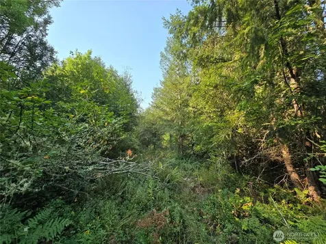 13849 Starflower Lane SE Yelm WA 98597