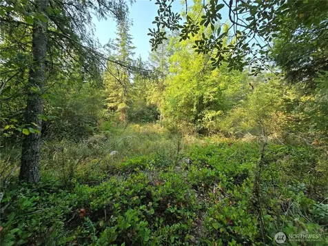 13849 Starflower Lane SE Yelm WA 98597