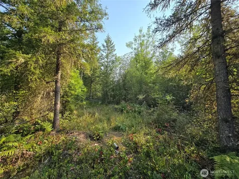 13849 Starflower Lane SE Yelm WA 98597