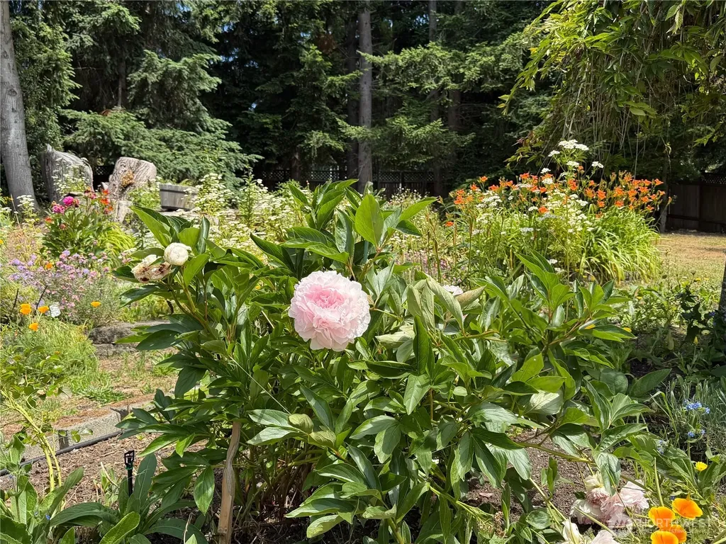 4098 S Camano Drive Camano Island WA 98282