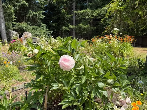 4098 S Camano Drive Camano Island WA 98282