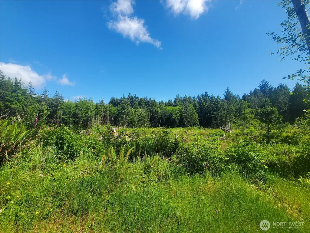 46 North Shore Place Hoquiam WA 98550
