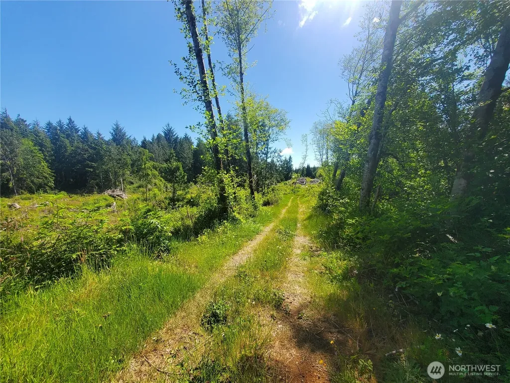 46 North Shore Place Hoquiam WA 98550