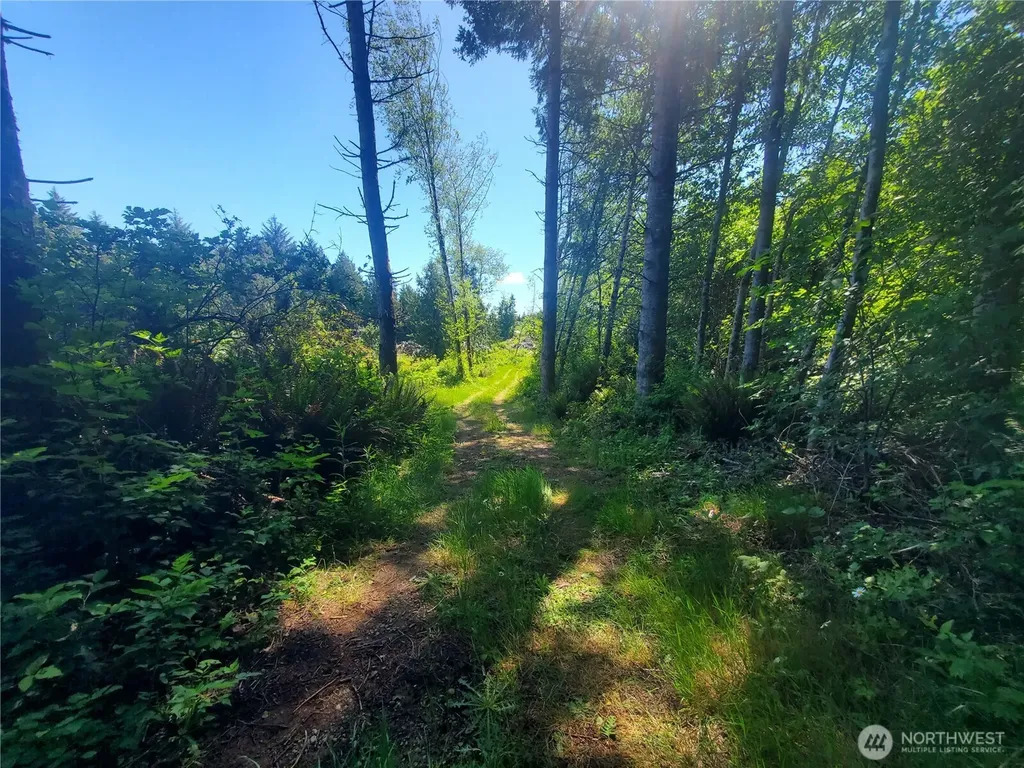 46 North Shore Place Hoquiam WA 98550