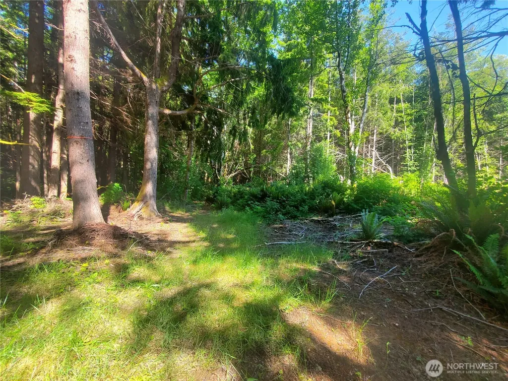 46 North Shore Place Hoquiam WA 98550