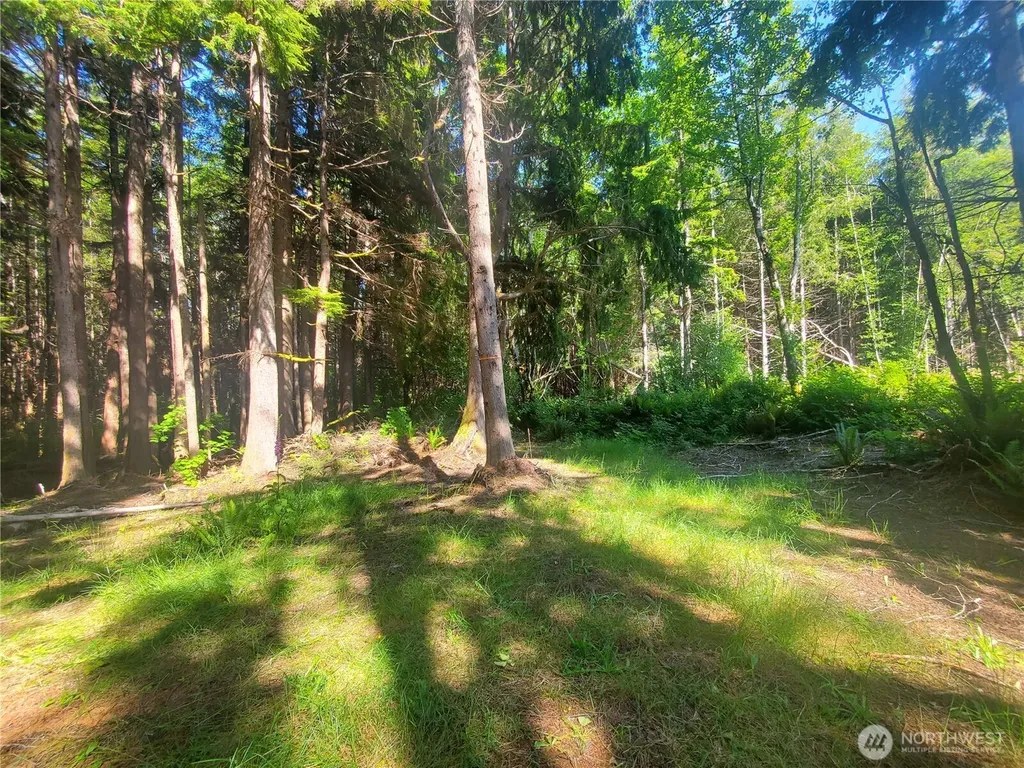 46 North Shore Place Hoquiam WA 98550