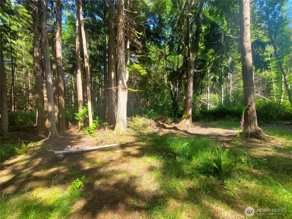46 North Shore Place Hoquiam WA 98550