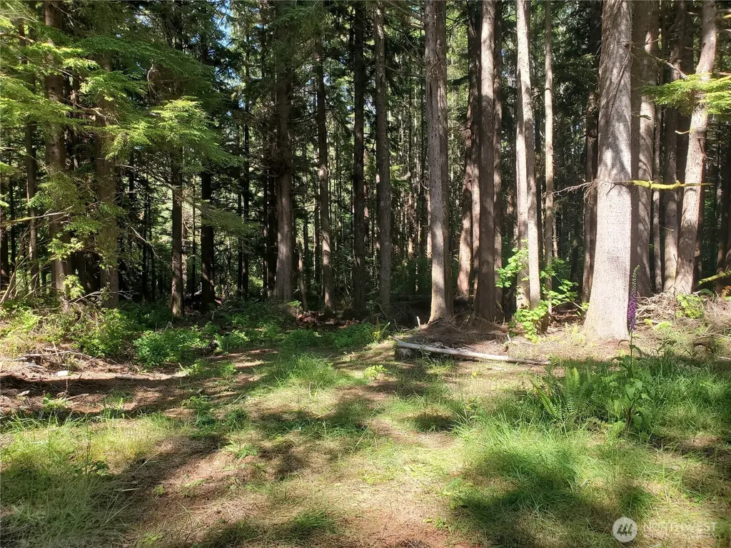 46 North Shore Place Hoquiam WA 98550