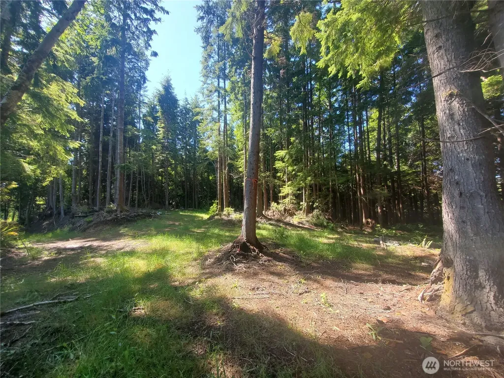 46 North Shore Place Hoquiam WA 98550