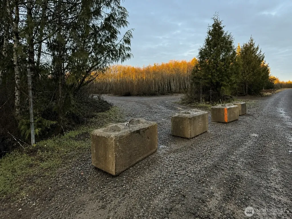 7507 Us Highway 101 Amanda Park WA 98526