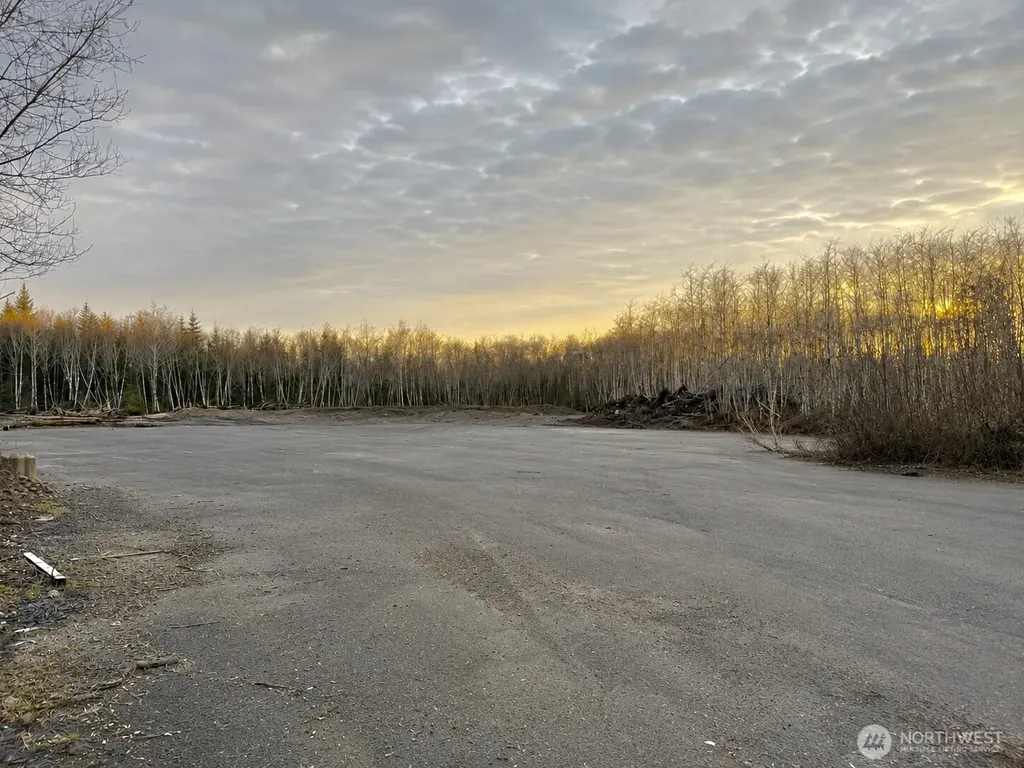 7507 Us Highway 101 Amanda Park WA 98526