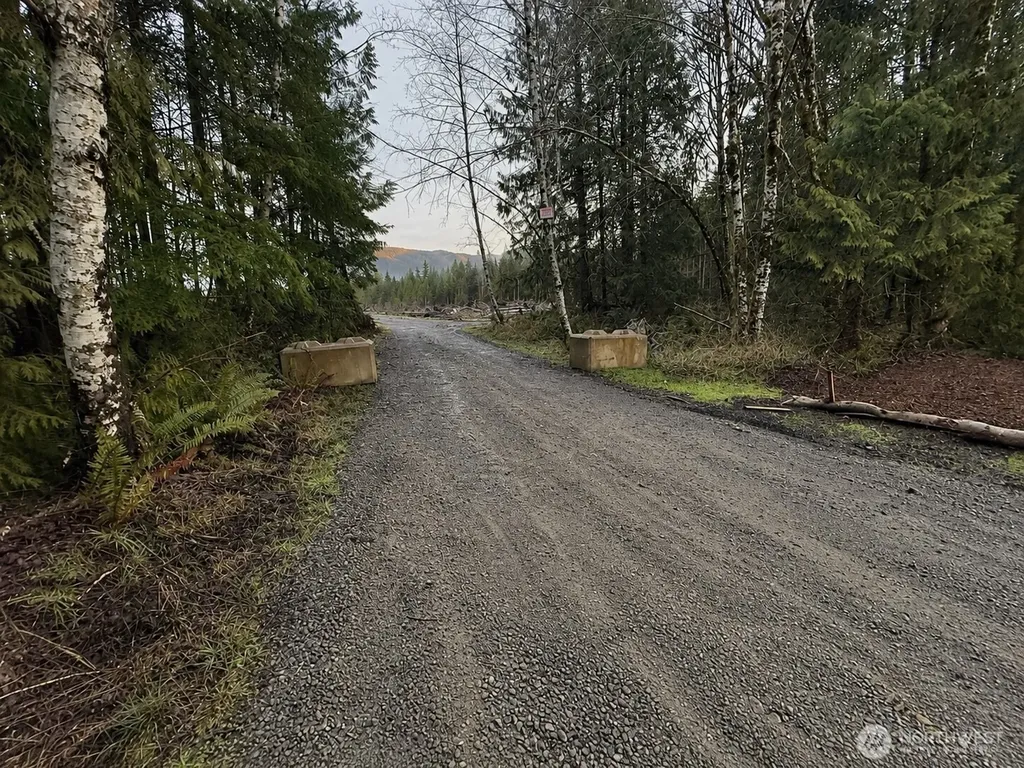 7507 Us Highway 101 Amanda Park WA 98526