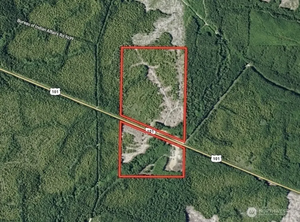7507 Us Highway 101 Amanda Park WA 98526
