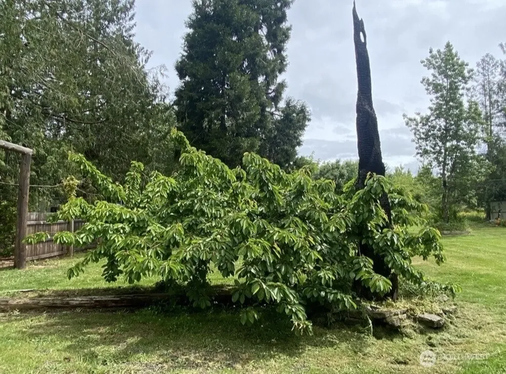 382 Lower Elwha Road Port Angeles WA 98363