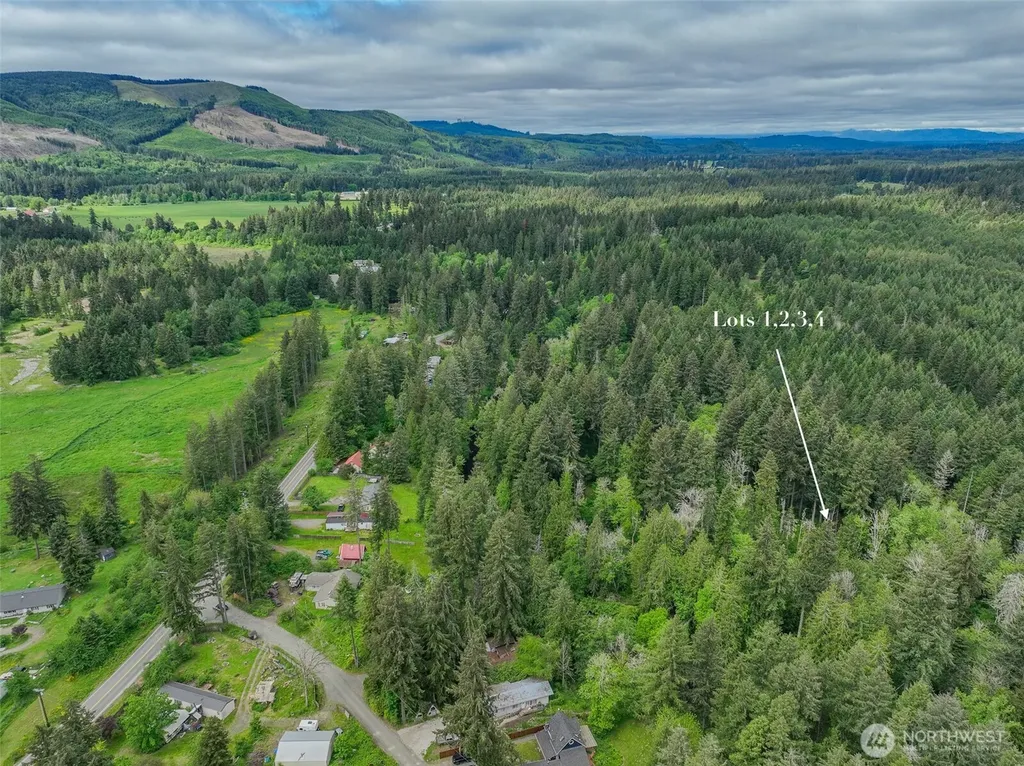 14247 SE Beaver Drive Rainier WA 98576