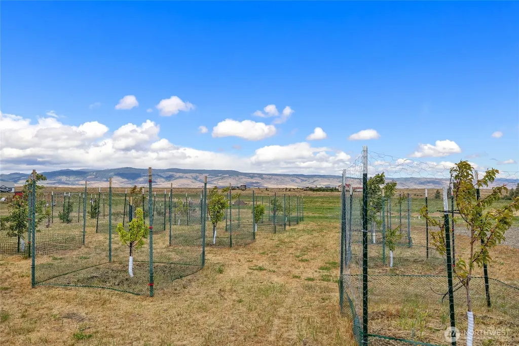 1630 Bitterbrush Drive Ellensburg WA 98926