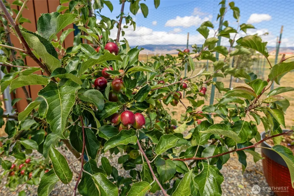 1630 Bitterbrush Drive Ellensburg WA 98926
