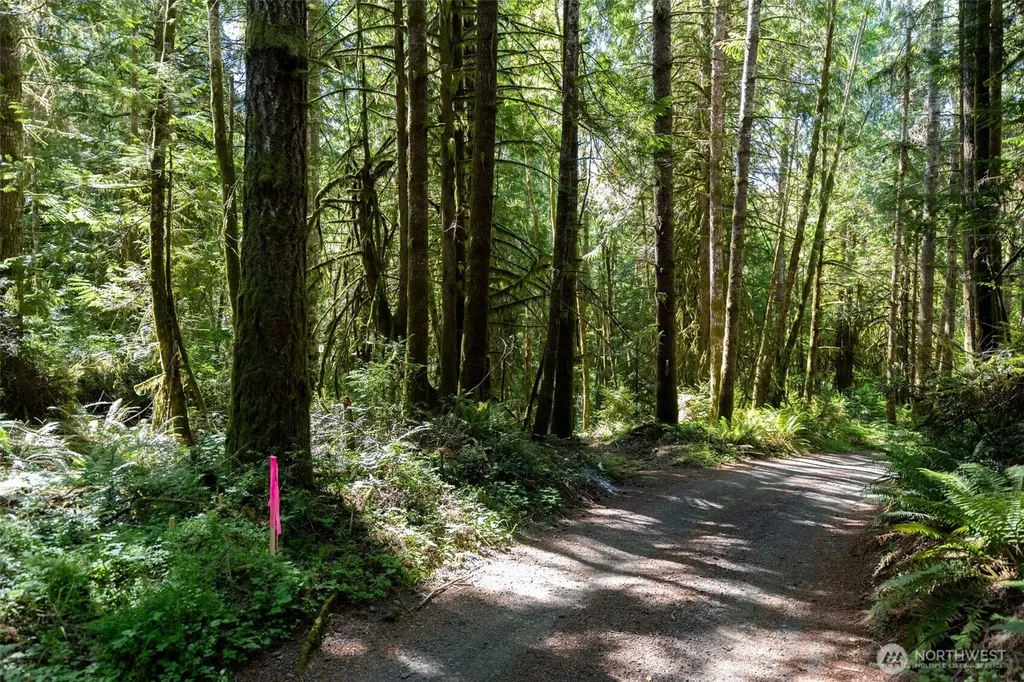 1781 E Sunset Hill Road Shelton WA 98584