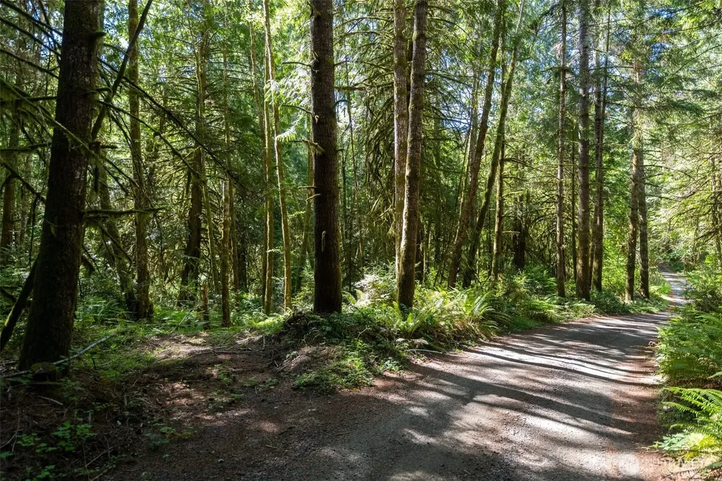1781 E Sunset Hill Road Shelton WA 98584