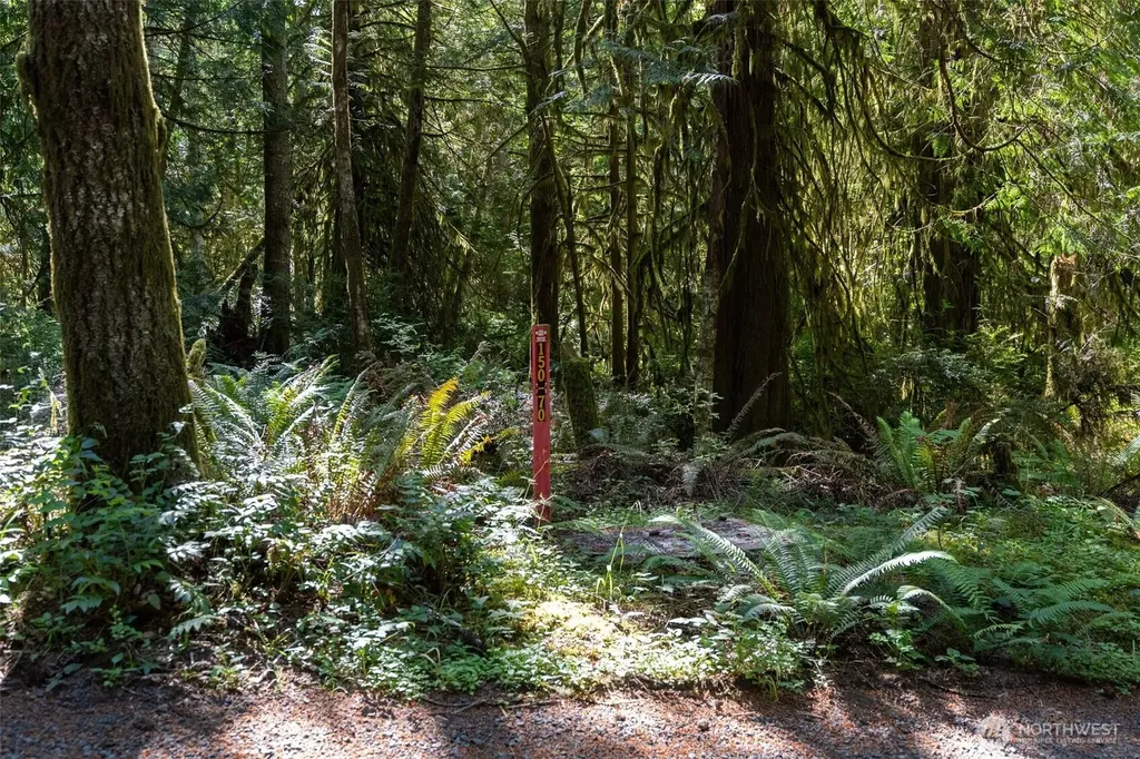 1781 E Sunset Hill Road Shelton WA 98584
