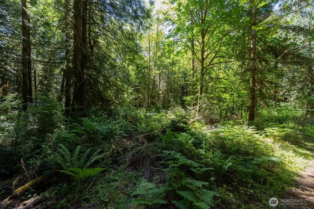 1781 E Sunset Hill Road Shelton WA 98584