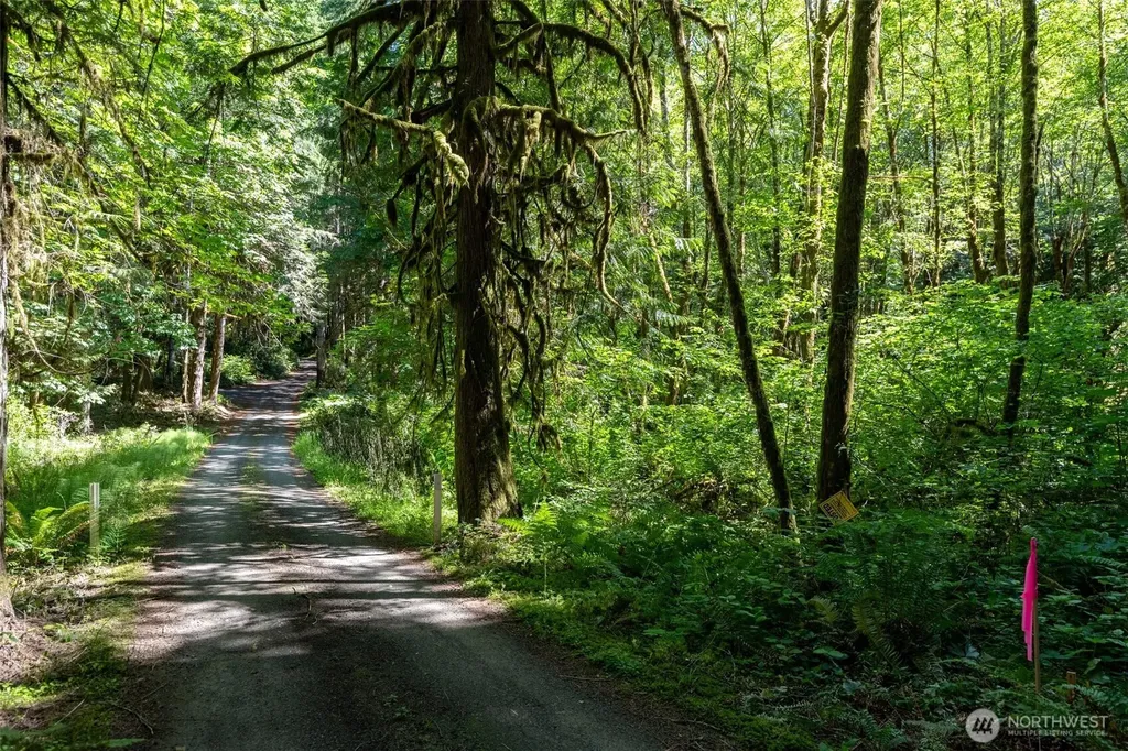 1781 E Sunset Hill Road Shelton WA 98584