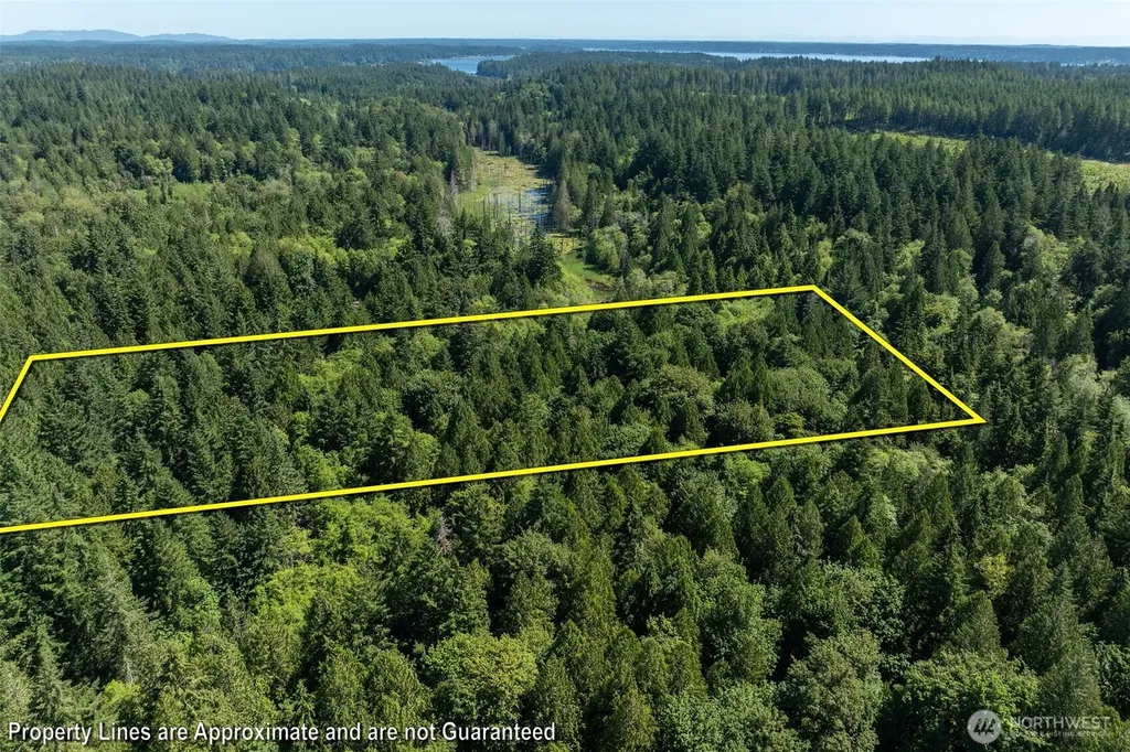 1781 E Sunset Hill Road Shelton WA 98584