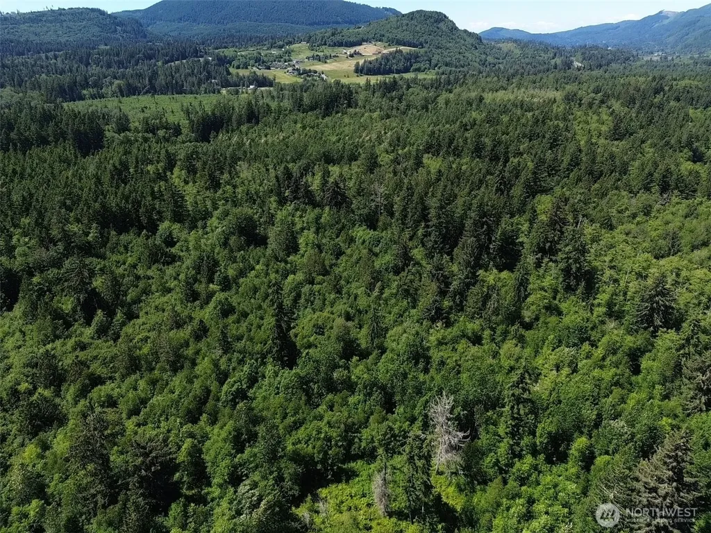 0 Wildrose Lane Bow WA 98232