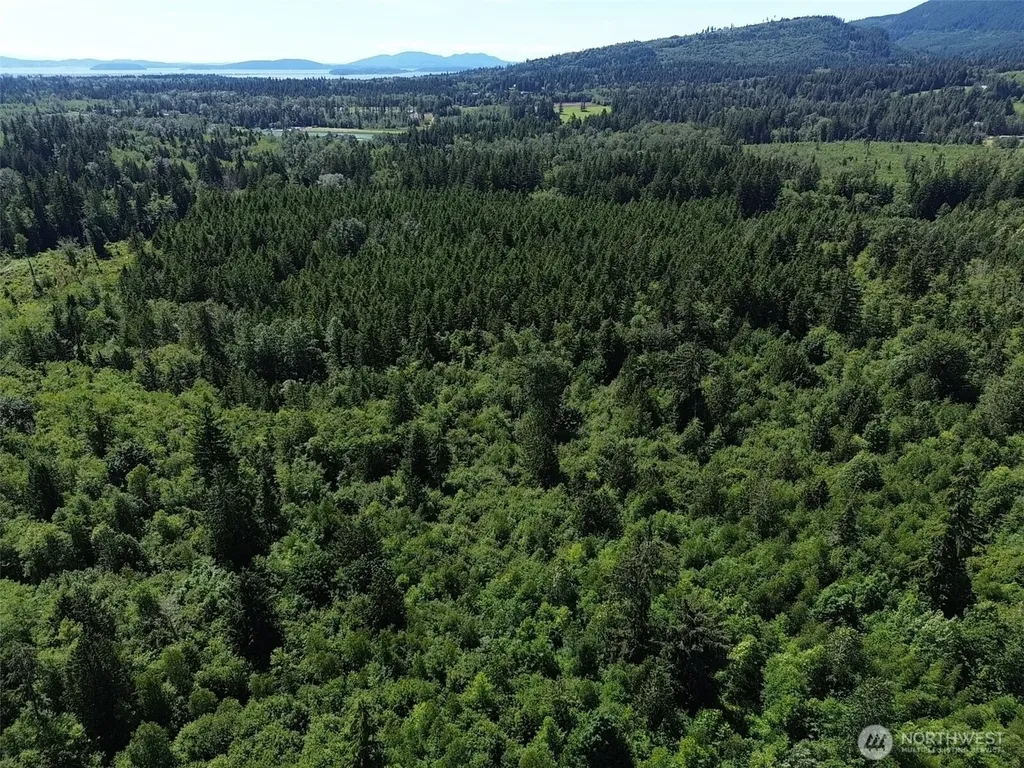 0 Wildrose Lane Bow WA 98232