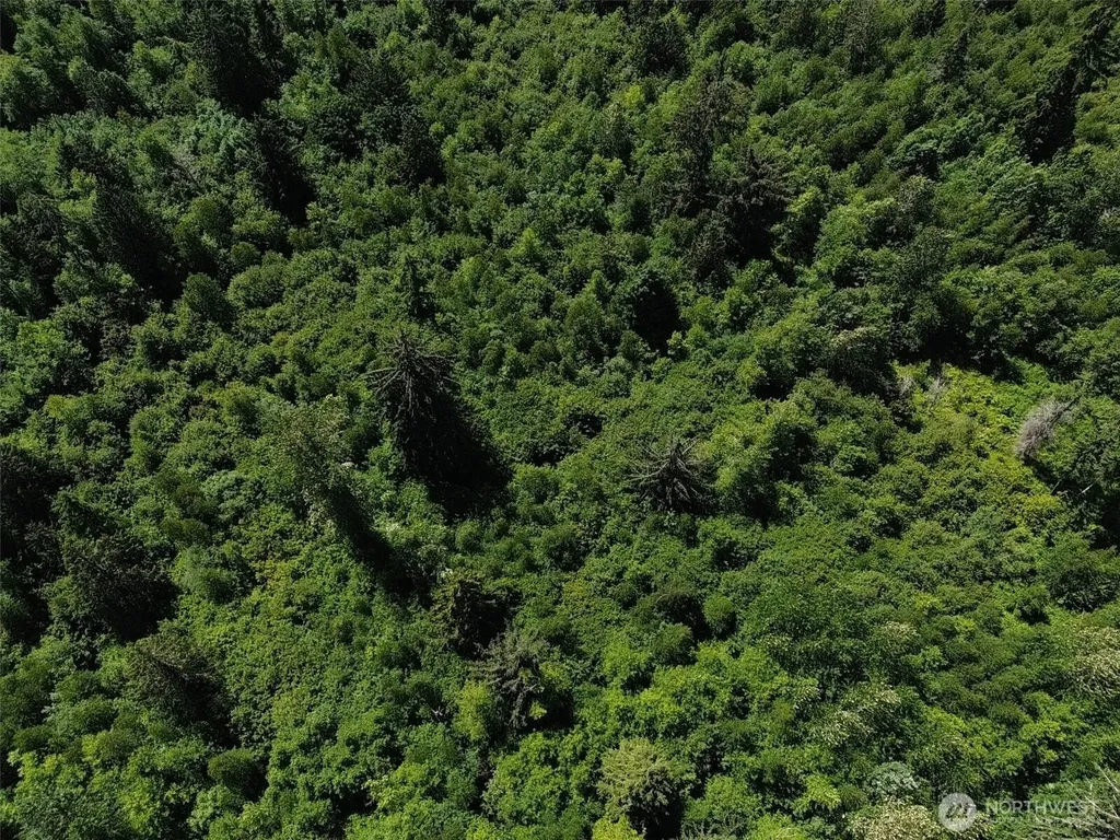 0 Wildrose Lane Bow WA 98232