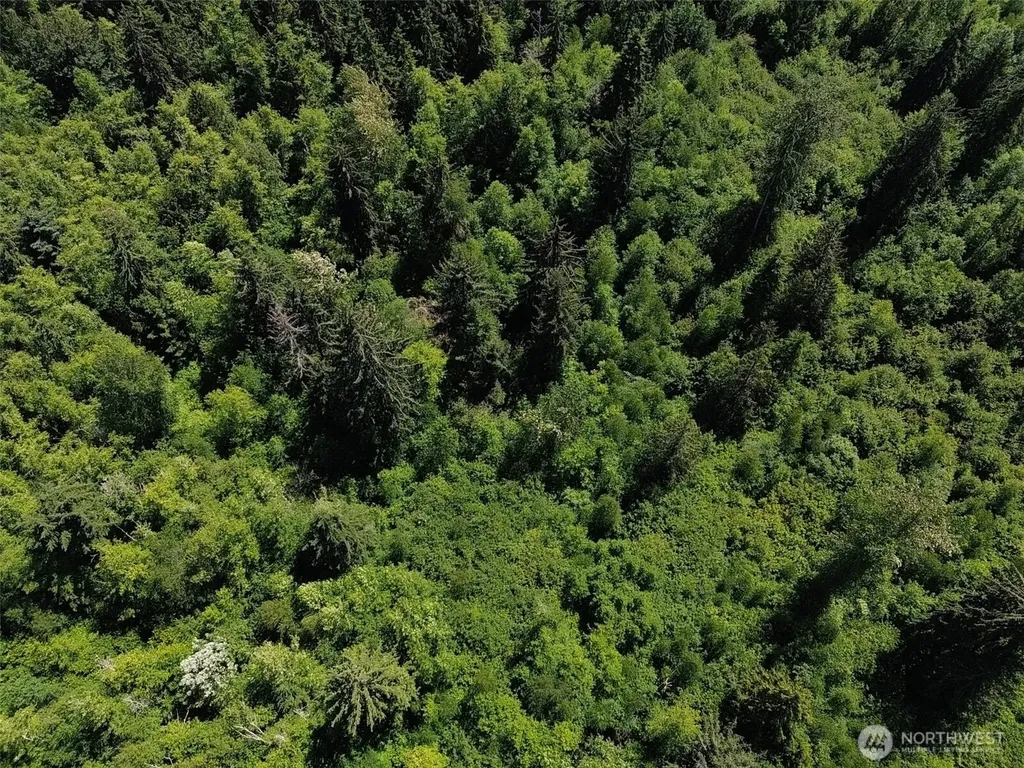 0 Wildrose Lane Bow WA 98232