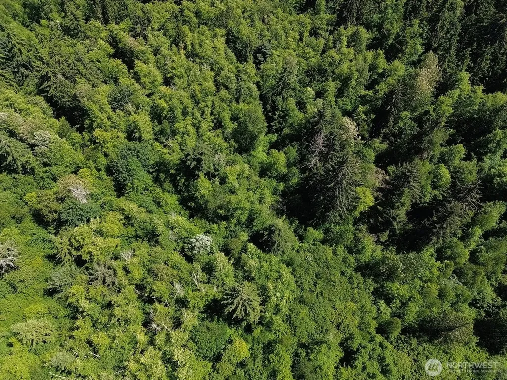 0 Wildrose Lane Bow WA 98232