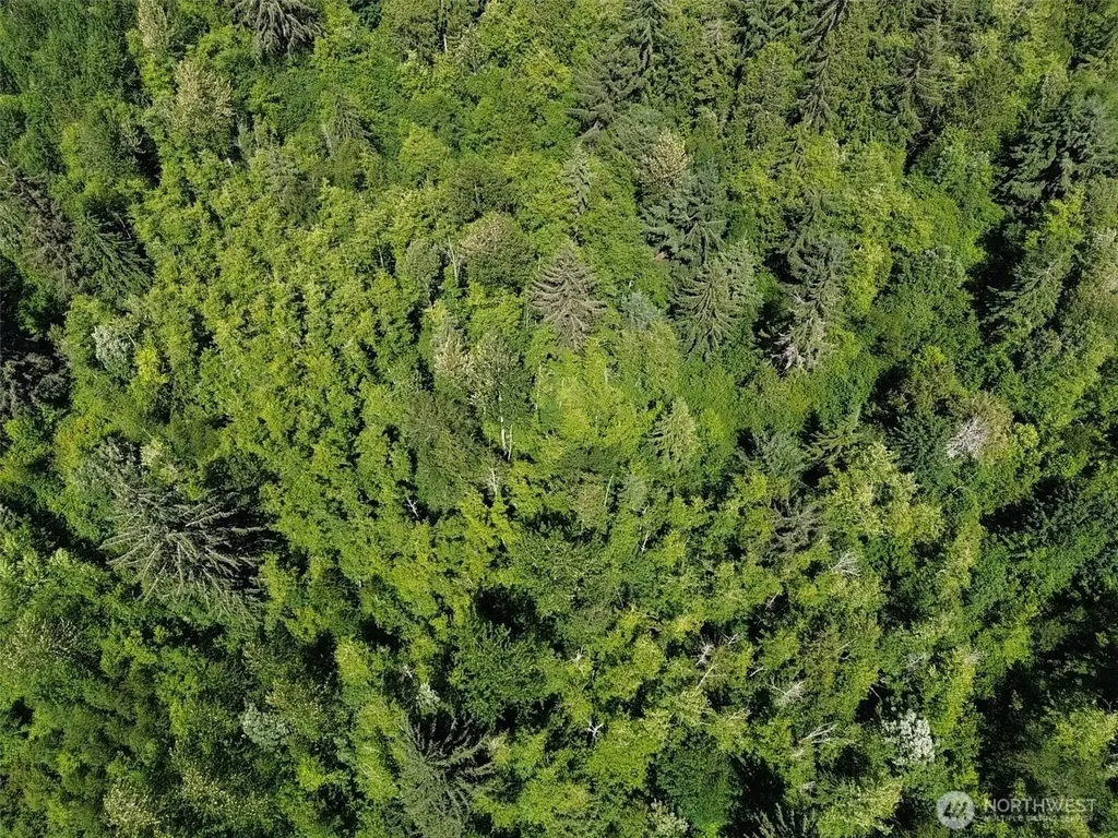 0 Wildrose Lane Bow WA 98232