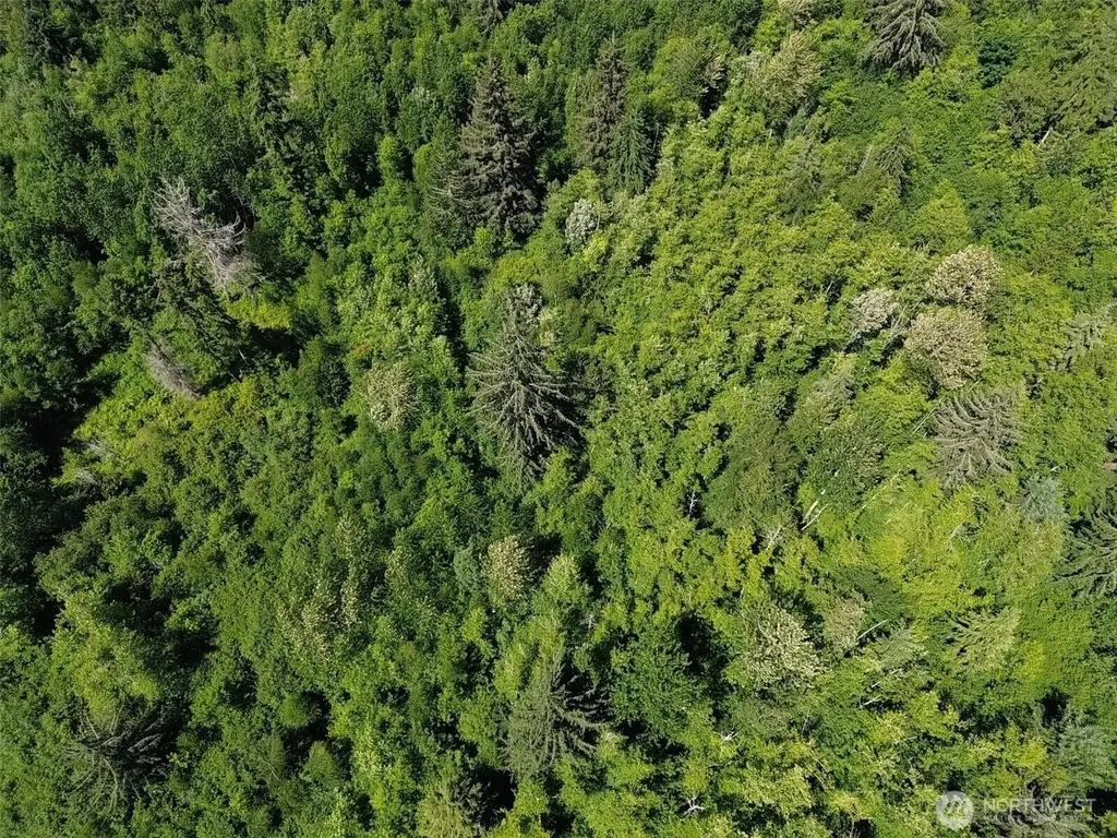 0 Wildrose Lane Bow WA 98232
