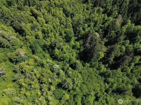 0 Wildrose Lane Bow WA 98232