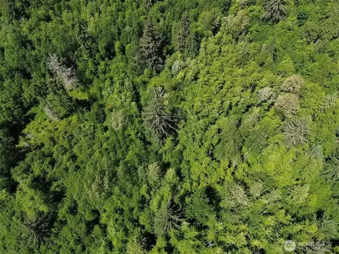0 Wildrose Lane Bow WA 98232