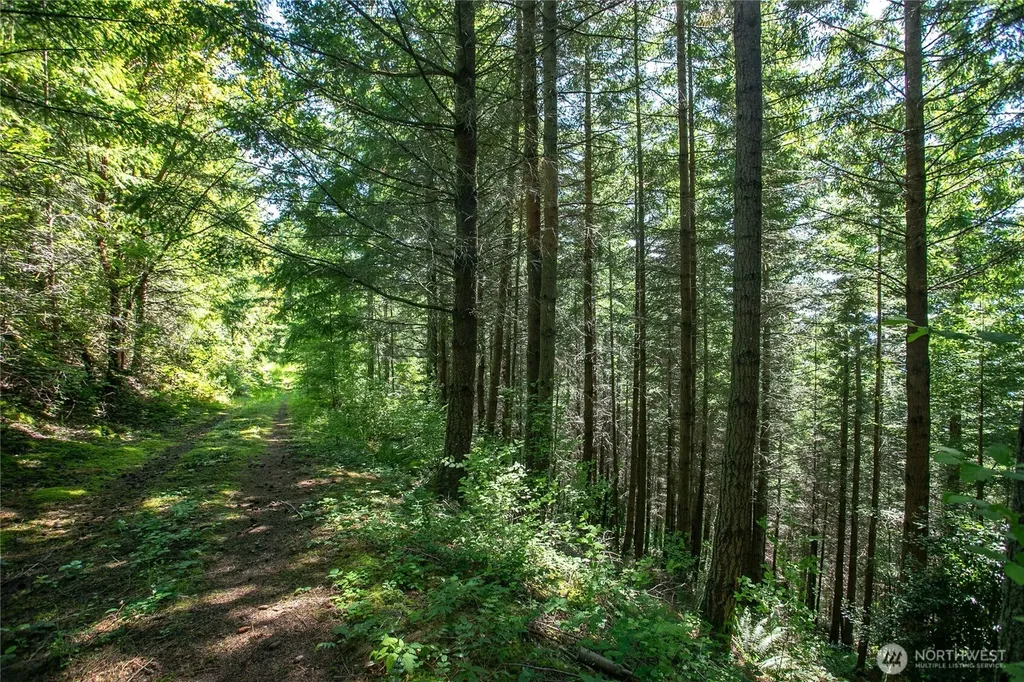 1543 Chuckanut Crest Drive Bellingham WA 98229