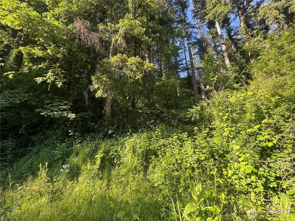 22728 Upper Dorre Don Way SE Maple Valley WA 98038