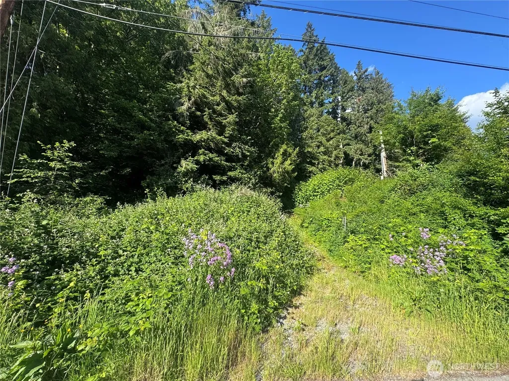 22728 Upper Dorre Don Way SE Maple Valley WA 98038