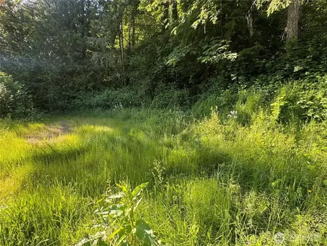 22728 Upper Dorre Don Way SE Maple Valley WA 98038