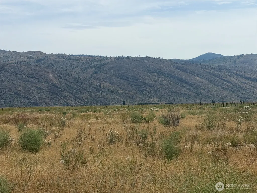 152 Green Acres Road Riverside WA 98841