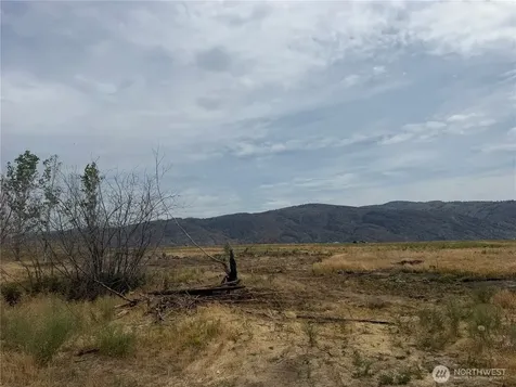 152 Green Acres Road Riverside WA 98841