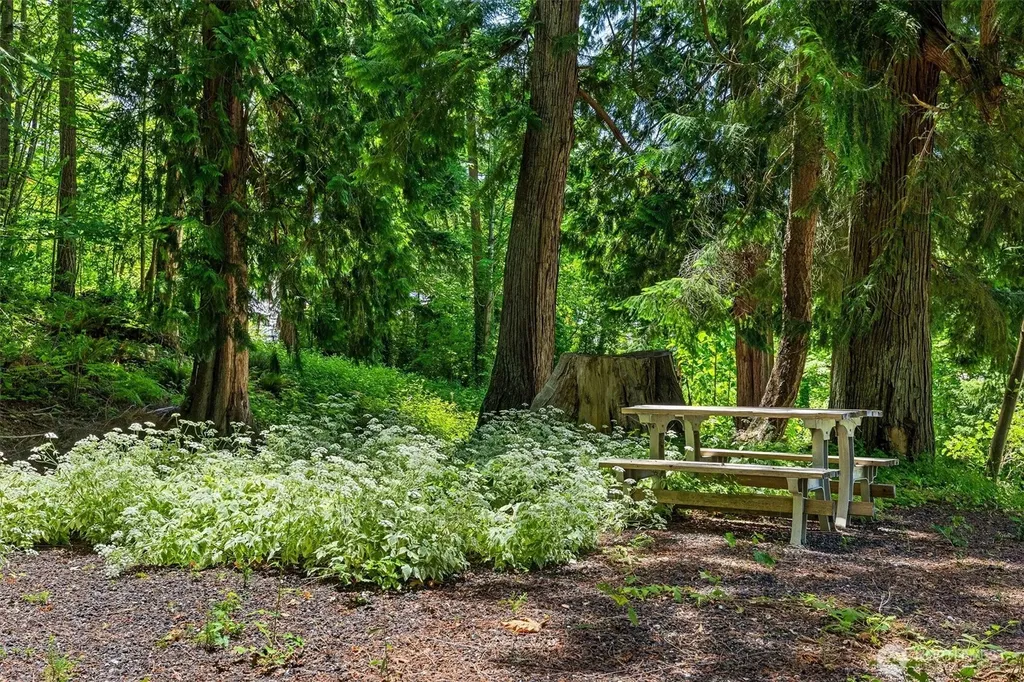 22122 SE 51st Place Issaquah WA 98029