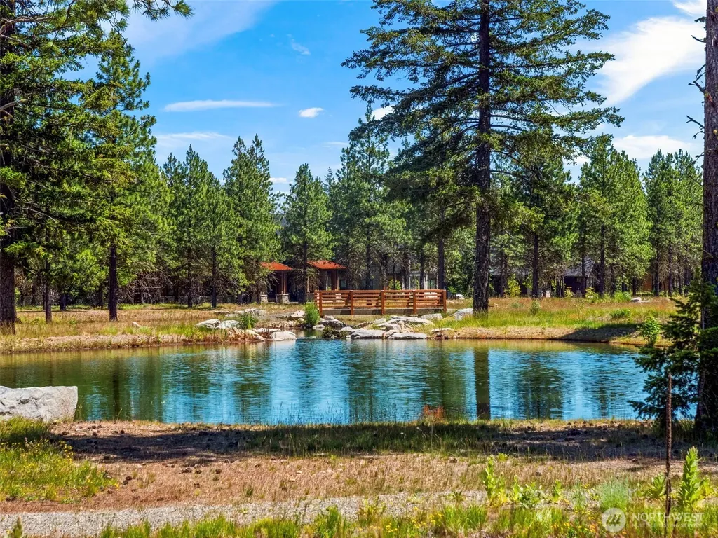 51 Domerie Park Loop Cle Elum WA 98922