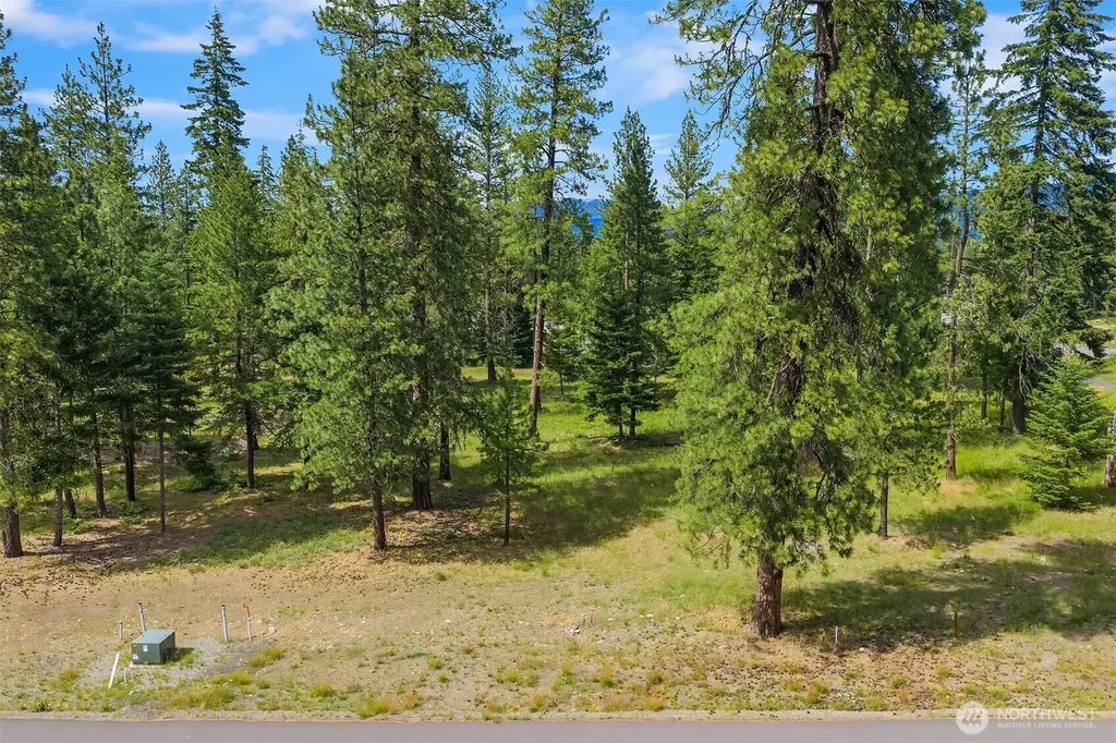 51 Domerie Park Loop Cle Elum WA 98922