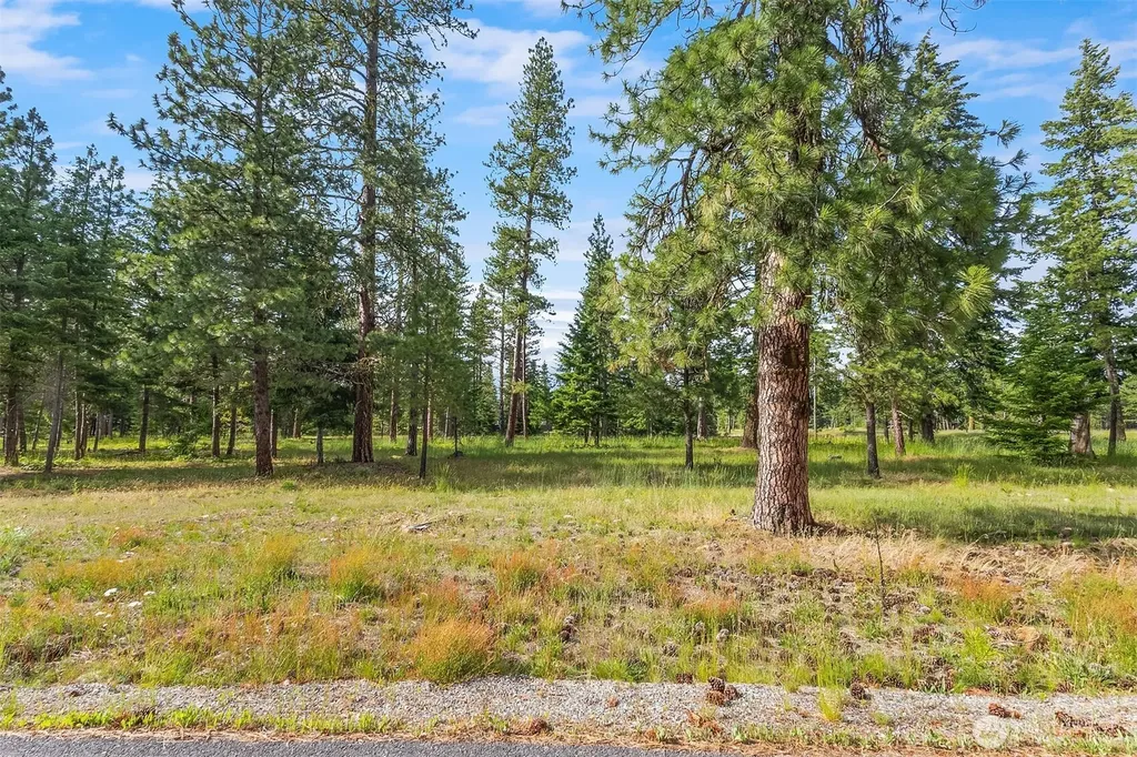 51 Domerie Park Loop Cle Elum WA 98922