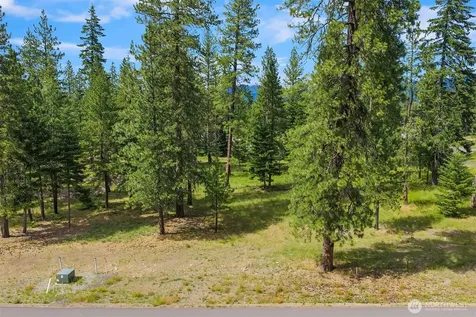 51 Domerie Park Loop Cle Elum WA 98922